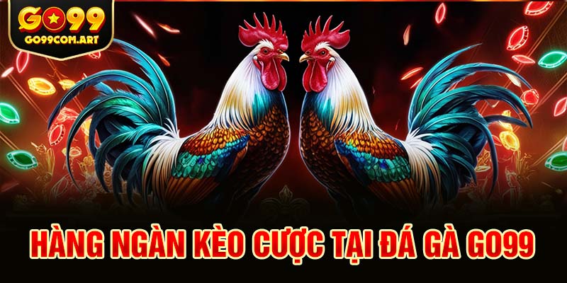 Đá gà Go99 cũng cấp hàng ngàn trận đấu mỗi ngày