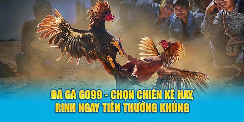 Tổng hợp các thể loại cược hot nhất tại sảnh đá gà Go99