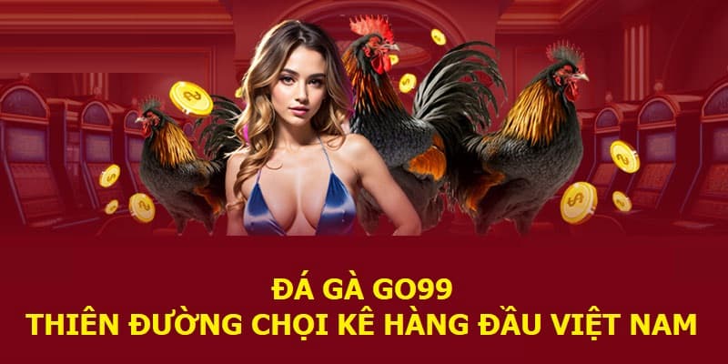 Giới thiệu về đá gà Go99